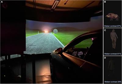 Does intraocular straylight predict night driving visual performance? Correlations between straylight levels and contrast sensitivity, halo size, and hazard recognition distance with and without glare